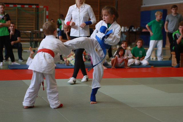 170819_deister-randori 054.JPG